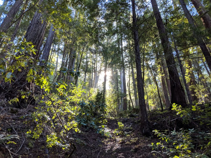 Maker:0x4c,Date:2017-12-18,Ver:4,Lens:Kan03,Act:Lar01,E-Y