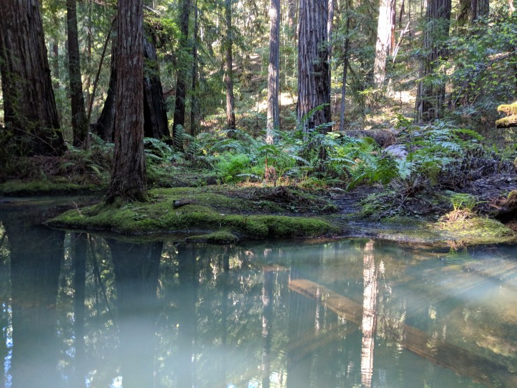 Maker:0x4c,Date:2017-12-18,Ver:4,Lens:Kan03,Act:Lar01,E-Y