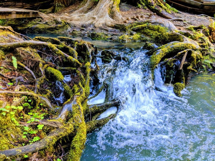 IMG_20180420_171843-EFFECTS