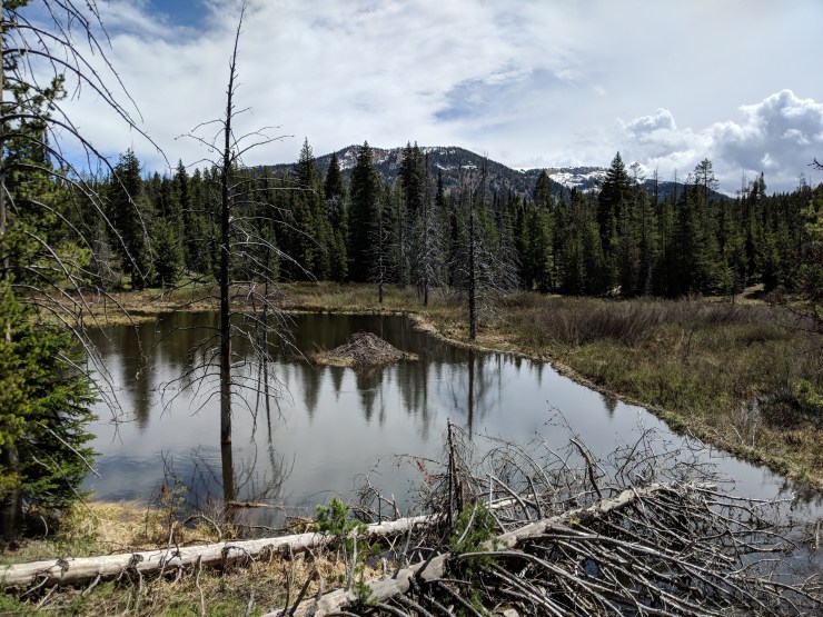 Maker:0x4c,Date:2017-12-18,Ver:4,Lens:Kan03,Act:Lar01,E-Y