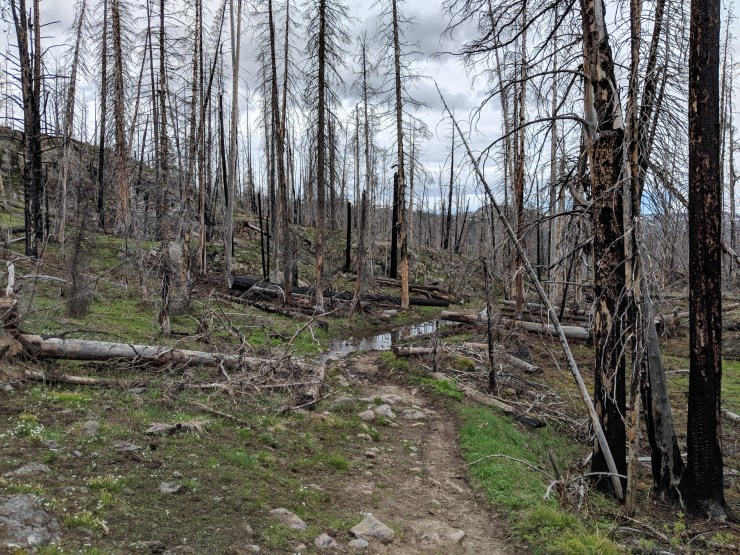 Maker:0x4c,Date:2017-12-18,Ver:4,Lens:Kan03,Act:Lar01,E-Y